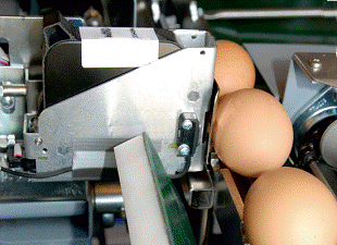Маркировочный комплекс Eggjet –EJ12 в Украине,Маркувальний комплекс Eggjet –EJ12, Маркиратор,Маркиратор каплеструйный,датер,Каплеструйный принтер цена,Маркиратор,Маркировочное оборудование,Маркировочные принтеры,Маркировка тары, Маркировка стекол,Маркировка бумаги,Маркировка проводов и кабелей,б/у маркиратор,ремонт маркиратора,промывочная жидкость,Маркировка потребительской тары,Маркировка товаров и тары,Маркировка тары и упаковки  Маркиратор цена,  Маркировка пластика,Маркировочный принтер цена,Каплеструйный маркиратор цена,Принтер маркировочный,Маркировка продовольственных товаров,Маркировка транспортной тары,Маркировка кабельной продукции,Маркировка пищевой продукции,Сервисное обслуживание маркираторов,Гарантийный ремонт маркировочных принтеров,Сервисное маркировочных принтеров,Гарантийный ремонт маркираторов,Поставка маркировочных принтеров,Маркировка колбасной продукции,Маркировка колбасной продукции,Маркировка упаковки,Маркировка плит ДСП,Маркировка пластиковых труб,Маркировка труб металлических, Маркировка картона,Маркировка гофрокартона,Маркировка проводов,Маркировка стекла,Маркировка пенопласта,Маркировка пенопласта,Маркировка стеклянной тары,Маркировка кабеля и провода,Videojet ® , FAZZA L ®, Markem ®, LINX ®, ЭКСТ®, Domino ®, Willett ®, Imaje ®, Hitachi ®,LC-16 ®,Маркировка банок из металла (жести),Маркировка яиц,Маркировка пищевого пластика,Маркировка кабеля и провода,Маркировка картона, Оборудование для лазерной маркировки, Маркировка пластиковой тары,Принтер промышленный Маркировка пластиковой упаковки,Нанесение маркировки на упаковку,Маркировка куриных яиц,Каплеструйный принтер, Нанесение маркировки на трубы,Бесконтактная маркировка,Электрокаплеструйный маркиратор,Промышленные маркираторы,Промышленные маркираторы,Купить маркиратор,Принтер-маркиратор,Лазерный маркиратор,Маркировка и упаковка,Каплеструйный маркиратор,Оборудование для нанесения маркировки,Оборудование для маркировки,Маркировка продукции,Маркировка кабеля,Маркиратор,Маркировка товаров,Маркировка трубы,Маркировка товара,Coder , Markirator ink jet , ink jet printers price Markirator , marking equipment , marking printers, Marking of packaging , marking glass , paper marking , marking of wires and cables , b / y coder , coder repair , washing liquid , marking the consumer packaging , labeling and packaging of goods , Marking of packaging Markirator price marking plastic Marking printer price , ink jet coder price Marking printer , marking foodstuffs Marking of shipping containers , marking cable products , the labeling of food products , Service coders , marking printers Warranty repairs , Service marking printers , Guarantee repair coders , Supply marking printers, Marking of sausage products , sausage products Marking , Marking of packaging , marking chipboard , plastic pipe markers , marking metal pipes , marking cardboard, corrugated board marking , marking , marking glass, foam markers , marking foam marking of glass containers , cable and wire marking , marking of metal cans ( tin) , marking eggs, food plastic markers , cable and wire markers , marking cardboard, laser marking equipment , marking of plastic packaging , marking printer industrial plastic packaging , marking of packaging, marking of eggs , ink jet printers , marking pipes , contactless marking Elektrokaplestruyny coder , Industrial marking, Industrial marking, Buy coder , coder - printer , Laser marking, labeling and packaging , ink jet coder , marking equipment , equipment for labeling, marking products, cable marking , Marking , marking products , labeling pipe marking Item,Мелкосимвольный маркиратор LINX 4900 в Украине ,Харькове дёшево б/у,пить б/у каплеструйный принтер, каплеструйный принтер бывший в употреблении,гарантийное обслуживание, безотказные принтеры, надёжный каплеструйный принтер, каплеструйная маркировка, расходники для каплеструйных принтеров, краска, сервисное обслуживание каплеструйных принтеров в странах СНГ,Скачать инструкцию по эксплуатации, скачать микросхему,вызов специалиста и мастера на производство, каплеструйный маркиратор, купить каплеструйный принтер в Украине недорого, продажа каплеструных принтеров, бесконтактная маркировка, крупносимвольная маркировка, маркировочное оборудование, оборудование инкубаторов, сервис, Харьков электрокаплеструйная маркировка, яйце-сортировочная машина, маркировка бутылок, каплеструйная маркировка труб, бирки, мелкосимвольные маркираторы, принтеры каплеструйные, промышленные принтеры для маркировки, расходные материалы, запчасти к каплеструйному принтеру, струйная маркировка продукции и принцип работы принтера, терморпринтеры, штрих-коды, шильды, этикет-пистолеты, этикеровочное оборудование, отзывы каплеструйный принтер, цена каплеструйный принтер,чернила для каплеструйного принтера всей цветовой гаммы для различных поверхностей, стикерение, долговечные СНПЧ, ПЗК-принтер, МФУ, плоттеры, картриджи, фотобумага, скидки, торг, доставка, установка каплеструйного принтера, наладка принтера, безотказные принтеры, растворитель, промывочная жидкость для промышленных принтеров, промывочные жидкости на водной, пропаноловой, выгодная покупка, маркиратор малых знаков, этиловой основах, для таких известных марок оборудования как ЭКСТ®, Videojet®, Domino®, Willett®, Imaje®, Linx®, Hitachi® и др. от производителей Англия, Франция, Россия, Италия, Япония, WF-4020, EBS-6100, U2 Anser, Hitachi серии PXR, Topjet KT7, FAZZa, MYDATA MY500, Zanasi Z640, Linx 4900, Linx CJ400, Domino A100, Citronix, Minijet128, OKI, Micronic www2, Willet 405, Forintek Baltija, Anser IJP-600, Epson, Samsung, Canon, HP, ROTTWEIL F, каплеструйний принтер, Թանաքային տպիչ, каплеструйный прынтэр, მელნის გამანადგურებელი პრინტერი, strūklprinteris, rašalinis spausdintuvas, Tintenstrahldrucker, drukarka atramentowa, imprimanta cu jet de cerneală, mürekkep püskürtmeli yazıcı, tindiprinteris, מדפסת הזרקת דיו, overstock, չափից մեծ պաշար, купіць прадаць, lieks krājums, užversti prekėmis, zu viel lagern, nadmiar zapasów, fazla stok yapmak, купити продати, encombrer, ülejääk, přecpat, Ремонт кращий краплеструменевий принтер Україна, конвеєр, транспортер, оренда принтера,скупка б/у каплеструйних принтерів, ink jet printer, продати б/у краплеструменевий принтер в Росії, купити б/у краплеструменевий принтер, краплеструменевий принтер, що був у використанні,гарантійне обслуговування, безвідмовні принтери, надійний краплеструменевий принтер, краплеструйне маркування, розхідники для каплеструйних принтерів, фарба, сервісне обслуговування каплеструйних принтерів в країнах СНД,Завантажити інструкцію з експлуатації, скачати мікросхему,виклик фахівця і майстри на виробництво, краплеструменевий маркувальник, купити краплеструменевий принтер в Україні недорого, продаж каплеструных принтерів, безконтактна маркування, крупносимвольная маркування, маркувальне обладнання, обладнання для інкубаторів, сервіс, Харків электрокаплеструйная маркування, яйці-сортувальна машина, маркування пляшок, краплеструйне маркування труб, бирки, дрібносимвольні маркиратори, краплеструйні принтери, промислові принтери для маркування, витратні матеріали, запчастини до каплеструйному принтер, струменевий маркування продукції та принцип роботи принтера, терморпринтеры, штрих-коди, шильди, етикет-пістолети, этикеровочное обладнання, відгуки краплеструменевий принтер, ціна краплеструменевий принтер,чорнило для краплеструменевого принтера всієї колірної гамми для різних поверхонь, стікереніе, довговічні СНПЧ, ПЗК-принтер, МФУ, плоттери, картриджі, фотопапір, знижки, торг, доставка, установка краплеструменевого принтера, налагодження принтера, безвідмовні принтери, розчинник, промивна рідина для промислових принтерів, промивні рідини на водній, пропаноловой, вигідна покупка, маркувальник малих знаків, етилової основи, для таких відомих марок як обладнання ЕКСТ сайлонів, Videojet Сайлонів, Domino Сайлонів, Віллетт Сайлонів, Imaje персоною. Linx персоною. Hitachi сайлонів та ін. від виробників Англія, Франція, Росія, Італія, Японія, WF-4020, EBS-6100, U2 Anser, Hitachi серії PXR, Topjet KT7, FAZZa, MYDATA MY500, Zanasi Z640, Linx 4900, Linx CJ400, Domino A100, Citronix, Minijet128, OKI, Micronic www2, Willet 405, Forintek Baltija, Anser IJP-600, Epson, Samsung, Canon, HP, ROTTWEIL F, каплеструйний принтер, Թանաքային տպիչ, краплеструменевий прынтэр, მელნის გამანადგურებელი პრინტერი, strūklprinteris, rašalinis spausdintuvas, Tintenstrahldrucker, drukarka atramentowa, imprimanta cu jet de cerneală, mürekkep püskürtmeli yazıcı, tindiprinteris, מדפסת הזרקת דיו, overstock, չափից մեծ պաշար, купіць прадаць, lieks krājums, užversti prekėmis, zu viel lagern, nadmiar zapasów, fazla трюму yapmak, купити продати, encombrer, ülejääk, затоварення