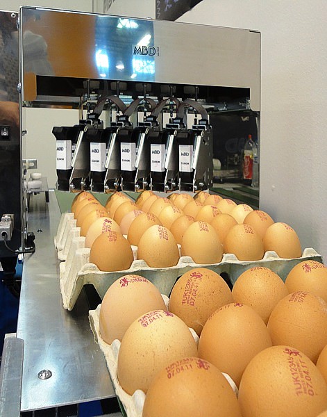 Маркировочный комплекс Eggjet –EJ12 в Украине,Маркувальний комплекс Eggjet –EJ12, Маркиратор,Маркиратор каплеструйный,датер,Каплеструйный принтер цена,Маркиратор,Маркировочное оборудование,Маркировочные принтеры,Маркировка тары, Маркировка стекол,Маркировка бумаги,Маркировка проводов и кабелей,б/у маркиратор,ремонт маркиратора,промывочная жидкость,Маркировка потребительской тары,Маркировка товаров и тары,Маркировка тары и упаковки  Маркиратор цена,  Маркировка пластика,Маркировочный принтер цена,Каплеструйный маркиратор цена,Принтер маркировочный,Маркировка продовольственных товаров,Маркировка транспортной тары,Маркировка кабельной продукции,Маркировка пищевой продукции,Сервисное обслуживание маркираторов,Гарантийный ремонт маркировочных принтеров,Сервисное маркировочных принтеров,Гарантийный ремонт маркираторов,Поставка маркировочных принтеров,Маркировка колбасной продукции,Маркировка колбасной продукции,Маркировка упаковки,Маркировка плит ДСП,Маркировка пластиковых труб,Маркировка труб металлических, Маркировка картона,Маркировка гофрокартона,Маркировка проводов,Маркировка стекла,Маркировка пенопласта,Маркировка пенопласта,Маркировка стеклянной тары,Маркировка кабеля и провода,Videojet ® , FAZZA L ®, Markem ®, LINX ®, ЭКСТ®, Domino ®, Willett ®, Imaje ®, Hitachi ®,LC-16 ®,Маркировка банок из металла (жести),Маркировка яиц,Маркировка пищевого пластика,Маркировка кабеля и провода,Маркировка картона, Оборудование для лазерной маркировки, Маркировка пластиковой тары,Принтер промышленный Маркировка пластиковой упаковки,Нанесение маркировки на упаковку,Маркировка куриных яиц,Каплеструйный принтер, Нанесение маркировки на трубы,Бесконтактная маркировка,Электрокаплеструйный маркиратор,Промышленные маркираторы,Промышленные маркираторы,Купить маркиратор,Принтер-маркиратор,Лазерный маркиратор,Маркировка и упаковка,Каплеструйный маркиратор,Оборудование для нанесения маркировки,Оборудование для маркировки,Маркировка продукции,Маркировка кабеля,Маркиратор,Маркировка товаров,Маркировка трубы,Маркировка товара,Coder , Markirator ink jet , ink jet printers price Markirator , marking equipment , marking printers, Marking of packaging , marking glass , paper marking , marking of wires and cables , b / y coder , coder repair , washing liquid , marking the consumer packaging , labeling and packaging of goods , Marking of packaging Markirator price marking plastic Marking printer price , ink jet coder price Marking printer , marking foodstuffs Marking of shipping containers , marking cable products , the labeling of food products , Service coders , marking printers Warranty repairs , Service marking printers , Guarantee repair coders , Supply marking printers, Marking of sausage products , sausage products Marking , Marking of packaging , marking chipboard , plastic pipe markers , marking metal pipes , marking cardboard, corrugated board marking , marking , marking glass, foam markers , marking foam marking of glass containers , cable and wire marking , marking of metal cans ( tin) , marking eggs, food plastic markers , cable and wire markers , marking cardboard, laser marking equipment , marking of plastic packaging , marking printer industrial plastic packaging , marking of packaging, marking of eggs , ink jet printers , marking pipes , contactless marking Elektrokaplestruyny coder , Industrial marking, Industrial marking, Buy coder , coder - printer , Laser marking, labeling and packaging , ink jet coder , marking equipment , equipment for labeling, marking products, cable marking , Marking , marking products , labeling pipe marking Item,Мелкосимвольный маркиратор LINX 4900 в Украине ,Харькове дёшево б/у,пить б/у каплеструйный принтер, каплеструйный принтер бывший в употреблении,гарантийное обслуживание, безотказные принтеры, надёжный каплеструйный принтер, каплеструйная маркировка, расходники для каплеструйных принтеров, краска, сервисное обслуживание каплеструйных принтеров в странах СНГ,Скачать инструкцию по эксплуатации, скачать микросхему,вызов специалиста и мастера на производство, каплеструйный маркиратор, купить каплеструйный принтер в Украине недорого, продажа каплеструных принтеров, бесконтактная маркировка, крупносимвольная маркировка, маркировочное оборудование, оборудование инкубаторов, сервис, Харьков электрокаплеструйная маркировка, яйце-сортировочная машина, маркировка бутылок, каплеструйная маркировка труб, бирки, мелкосимвольные маркираторы, принтеры каплеструйные, промышленные принтеры для маркировки, расходные материалы, запчасти к каплеструйному принтеру, струйная маркировка продукции и принцип работы принтера, терморпринтеры, штрих-коды, шильды, этикет-пистолеты, этикеровочное оборудование, отзывы каплеструйный принтер, цена каплеструйный принтер,чернила для каплеструйного принтера всей цветовой гаммы для различных поверхностей, стикерение, долговечные СНПЧ, ПЗК-принтер, МФУ, плоттеры, картриджи, фотобумага, скидки, торг, доставка, установка каплеструйного принтера, наладка принтера, безотказные принтеры, растворитель, промывочная жидкость для промышленных принтеров, промывочные жидкости на водной, пропаноловой, выгодная покупка, маркиратор малых знаков, этиловой основах, для таких известных марок оборудования как ЭКСТ®, Videojet®, Domino®, Willett®, Imaje®, Linx®, Hitachi® и др. от производителей Англия, Франция, Россия, Италия, Япония, WF-4020, EBS-6100, U2 Anser, Hitachi серии PXR, Topjet KT7, FAZZa, MYDATA MY500, Zanasi Z640, Linx 4900, Linx CJ400, Domino A100, Citronix, Minijet128, OKI, Micronic www2, Willet 405, Forintek Baltija, Anser IJP-600, Epson, Samsung, Canon, HP, ROTTWEIL F, каплеструйний принтер, Թանաքային տպիչ, каплеструйный прынтэр, მელნის გამანადგურებელი პრინტერი, strūklprinteris, rašalinis spausdintuvas, Tintenstrahldrucker, drukarka atramentowa, imprimanta cu jet de cerneală, mürekkep püskürtmeli yazıcı, tindiprinteris, מדפסת הזרקת דיו, overstock, չափից մեծ պաշար, купіць прадаць, lieks krājums, užversti prekėmis, zu viel lagern, nadmiar zapasów, fazla stok yapmak, купити продати, encombrer, ülejääk, přecpat, Ремонт кращий краплеструменевий принтер Україна, конвеєр, транспортер, оренда принтера,скупка б/у каплеструйних принтерів, ink jet printer, продати б/у краплеструменевий принтер в Росії, купити б/у краплеструменевий принтер, краплеструменевий принтер, що був у використанні,гарантійне обслуговування, безвідмовні принтери, надійний краплеструменевий принтер, краплеструйне маркування, розхідники для каплеструйних принтерів, фарба, сервісне обслуговування каплеструйних принтерів в країнах СНД,Завантажити інструкцію з експлуатації, скачати мікросхему,виклик фахівця і майстри на виробництво, краплеструменевий маркувальник, купити краплеструменевий принтер в Україні недорого, продаж каплеструных принтерів, безконтактна маркування, крупносимвольная маркування, маркувальне обладнання, обладнання для інкубаторів, сервіс, Харків электрокаплеструйная маркування, яйці-сортувальна машина, маркування пляшок, краплеструйне маркування труб, бирки, дрібносимвольні маркиратори, краплеструйні принтери, промислові принтери для маркування, витратні матеріали, запчастини до каплеструйному принтер, струменевий маркування продукції та принцип роботи принтера, терморпринтеры, штрих-коди, шильди, етикет-пістолети, этикеровочное обладнання, відгуки краплеструменевий принтер, ціна краплеструменевий принтер,чорнило для краплеструменевого принтера всієї колірної гамми для різних поверхонь, стікереніе, довговічні СНПЧ, ПЗК-принтер, МФУ, плоттери, картриджі, фотопапір, знижки, торг, доставка, установка краплеструменевого принтера, налагодження принтера, безвідмовні принтери, розчинник, промивна рідина для промислових принтерів, промивні рідини на водній, пропаноловой, вигідна покупка, маркувальник малих знаків, етилової основи, для таких відомих марок як обладнання ЕКСТ сайлонів, Videojet Сайлонів, Domino Сайлонів, Віллетт Сайлонів, Imaje персоною. Linx персоною. Hitachi сайлонів та ін. від виробників Англія, Франція, Росія, Італія, Японія, WF-4020, EBS-6100, U2 Anser, Hitachi серії PXR, Topjet KT7, FAZZa, MYDATA MY500, Zanasi Z640, Linx 4900, Linx CJ400, Domino A100, Citronix, Minijet128, OKI, Micronic www2, Willet 405, Forintek Baltija, Anser IJP-600, Epson, Samsung, Canon, HP, ROTTWEIL F, каплеструйний принтер, Թանաքային տպիչ, краплеструменевий прынтэр, მელნის გამანადგურებელი პრინტერი, strūklprinteris, rašalinis spausdintuvas, Tintenstrahldrucker, drukarka atramentowa, imprimanta cu jet de cerneală, mürekkep püskürtmeli yazıcı, tindiprinteris, מדפסת הזרקת דיו, overstock, չափից մեծ պաշար, купіць прадаць, lieks krājums, užversti prekėmis, zu viel lagern, nadmiar zapasów, fazla трюму yapmak, купити продати, encombrer, ülejääk, затоварення