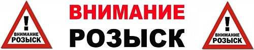 Двигатели ДПР выполняются с возбуждением от постоянных магнитов, с полым бескаркасным якорем. Двигатели Объединены в несколько серий, отличающихся друг от друга основными параметрами, режимами работы и условиями эксплуатации. Двигатель каждой серии имеет четыре конструктивных исполнения: